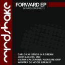 Wouter De Moor - Break It
