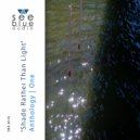 Steve Hadfield - Displacement Activity