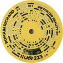 Romain Richard - From Detroit (Original Mix)