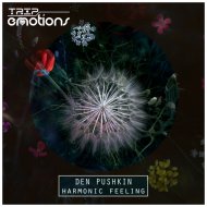 Den Pushkin - Harmonic Feeling