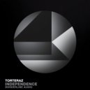 Torteraz - Independence (Dub Synth Pad DJ Tool Mix)