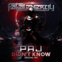 PAJ - Didn't Know