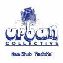 Nam-Shub - Radhika