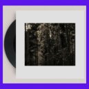 Francois Dillinger - Navigating the swamp