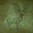 Homaag - Practical Implications