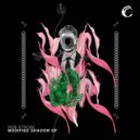 Rob Strobe - Presentation (Original Mix)