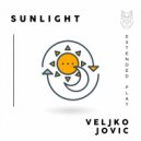 Veljko Jovic - Moonlight (Original Mix)