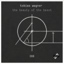 Tobias Wagner - Chasing Visions (Original Mix)