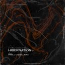 PROGroyal - Hibernation (Pablo Caballero Remix)