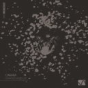 Carara - The Camouflaged (Part 4) (Original Mix)