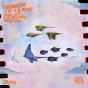 Caribbean - La Sonata (Original Mix)