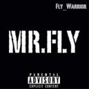 Fly_Warrior - Millions ()