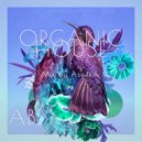 AB - ORGANIC HOUSE (Mix by Ase4kA) ()