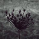 Andrea Cossu - Lost 23 (Original Mix)