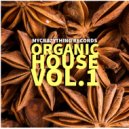 Afro Carrib - Ni Moun La (Instrumental Mix)