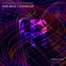 Stashion & Den Pushkin - Hair Back (Original Mix)
