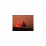 Mindfulness Healing BGM Project - Autumn and Stress Free