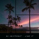 DJ Aristocrat - Like It