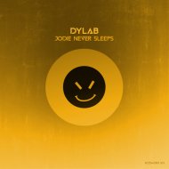 dyLAB - A Girl Needs A Gun These Days