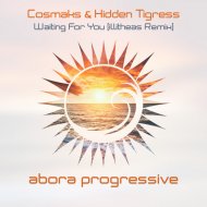 Cosmaks & Hidden Tigress - Waiting For You
