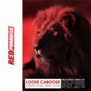 Danny Kolk, Shiro Tiger - Loose Caboose (WRDO Remix)