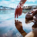 Frank FB - Feelings (Dance Mix)