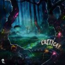 Critical - Fractal Burguer (Original Mix)