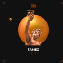 Tamez - Fly (Radio Edit)