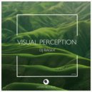 DJ Ragex - Visual Perception (Original Mix)