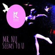 Mr.Nu - Seems To U