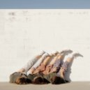 Michael Wall - Dreams of North Carolina ()