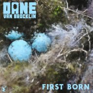 Dane Van Brocklin - Folsom Prison Blues