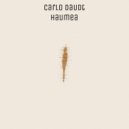 Carlo Daudt - Hool