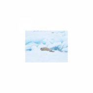 Mindfulness Healing Sleep BGM Project - March and Acoustic