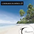 Gerts - The Grass (Original mix)