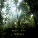 Night Sky - Rain Forest (Original Mix)