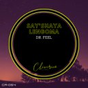 Dr Feel - Say'shaya Lengoma