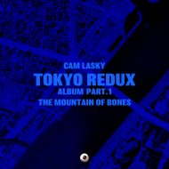 Cam Lasky - Jumped or Murdered