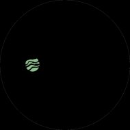 Zweizig - Manipulate Our Reflections