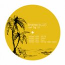 Andrei Voica - Modul