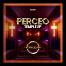 Perceo - Molecules (Original Mix)