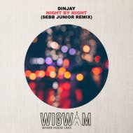Din Jay - Night By Night
