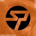 Choum - Inorganic Matter