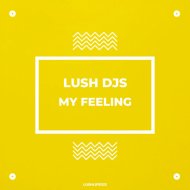 Lush Djs - My Feeling