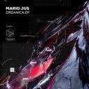 Mario Jus - She Said (Original Mix)