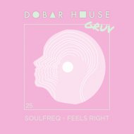 Soulfreq - Feels Right