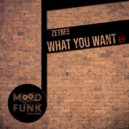 Zetbee - What You Want