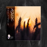 Ajex - Pudding