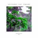 Aristocrat Feat. Demiana - Weather The Storm (Extended Mix)