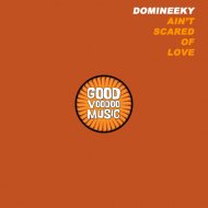 Domineeky - Ain\'t Scared Of Love